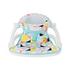Fisher-Price Windmill Sit Me Up Seat
